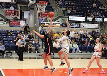 Defending Champion Bulldogs Fall In 15Th Region Tournament