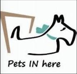 Brown English Bulldog pup available