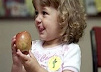 2024 WIC GUIDELINES ANNOUNCED BY LAWRENCE COUNTY HEALTH DEPT.