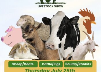 LAWRENCE COUNTY FAIR 2024 LIVESTOCK SHOW!