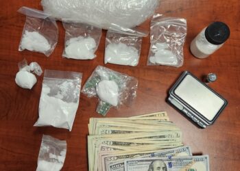 WAYNE CO. SHERIFF SAYS TWO MAJOR DRUG TRAFFICKERS ARRESTED DURING TRAFFIC STOP