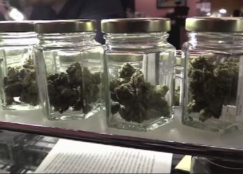 More than 1,000 medical marijuana business applications flood Kentucky