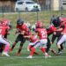 Lawrence Co. Youth Football League perfect to begin the playoffs; A, B, and C teams play at Buffalo-Wayne Saturday