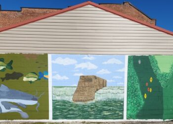 OUT WITH THE OLD IN WITH THE NEW! — PAINT THAT IS…