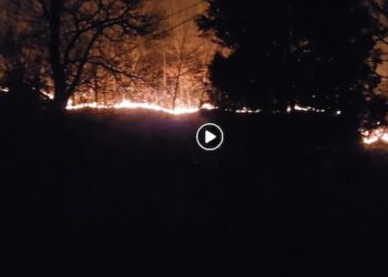 ‘FIRE STARTER’ ARRESTED IN GROUNDHOG HOLLOW