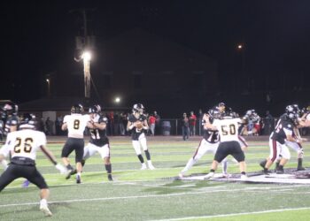 DAWGS TAME TIGERS 48-7 TO BEGIN PLAYOFF RUN