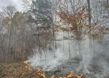 LARGE FOREST FIRE ERUPTS IN INEZ AREA OF MARTIN COUNTY